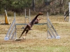 B-45
