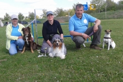 Agility Turnierbilder