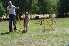 Agility Workshop 14. Juni 09