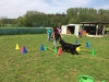 IMG-20160520-WA0017