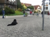 20140819_190614