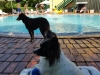 20180708_162533