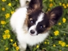 IMG-20160415-WA0000