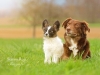IMG-20160415-WA0001