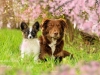 IMG-20160415-WA0002
