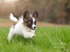IMG-20160415-WA0007