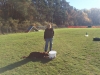 IMG-20151104-WA0017