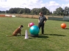 20140812_104129