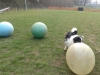 20160323_105209